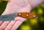  Lioness Rockies Edition's 1095 steel blade and ergonomic handle design.