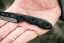 Mini Scandi Knife Green/Black G-10