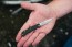 Tex Creek Mini Slipjoint